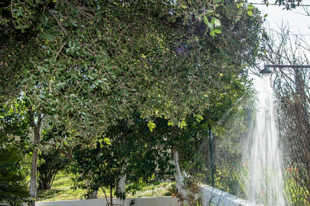 Villa Aelia - A Peaceful And Private Place Argostoli  Exteriér fotografie